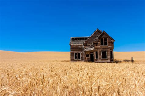 MUNDO CURADO: Casa Abandonada en campo de trigo