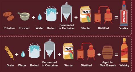 This Infographic Breaks Down How All Your Favorite Alcohol Is Made ...