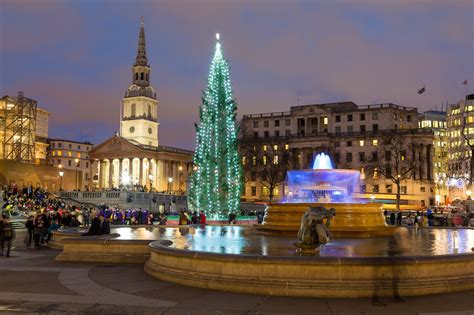 The Trafalgar Square Christmas Tree Lights Up On 1 December | Londonist