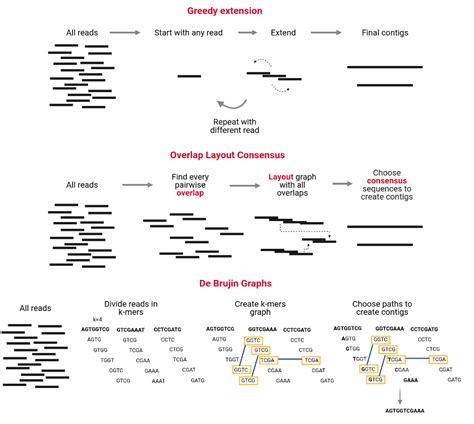 Metagenome Assembly – Data Processing and Visualization for Metagenomics