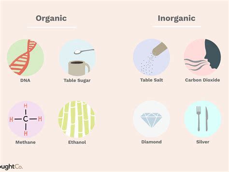 Inorganic compounds in the human body