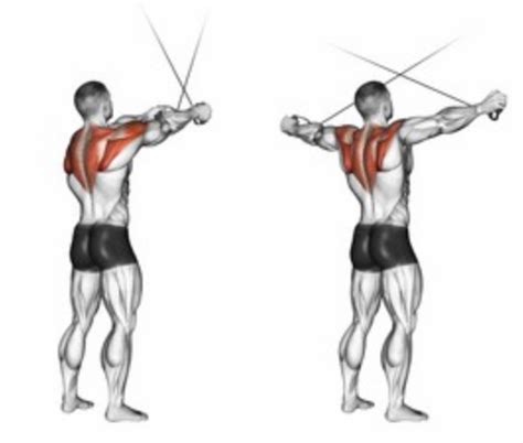 The Cable Rear Delt Fly | How to Maximize this Rear Delt Exercise!