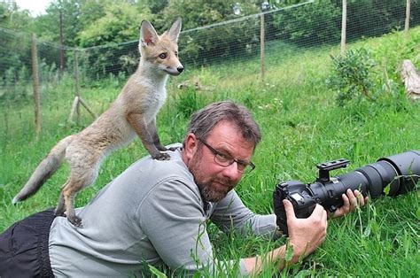 A Wildlife Photographer Shared This Beautiful Picture To Put People Off ...