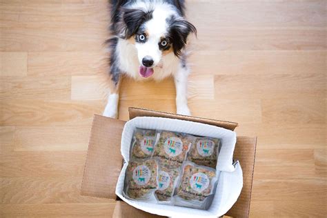 7 Delicious Dog Food Companies That Will Deliver Meals Right to Your ...