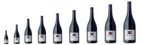 Wine 101: Wine Bottle sizes and names – Winerabble