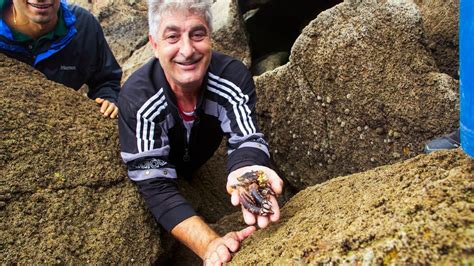 Harvesting Percebes on the Rocky Coastline of Galicia | The Recipe ...