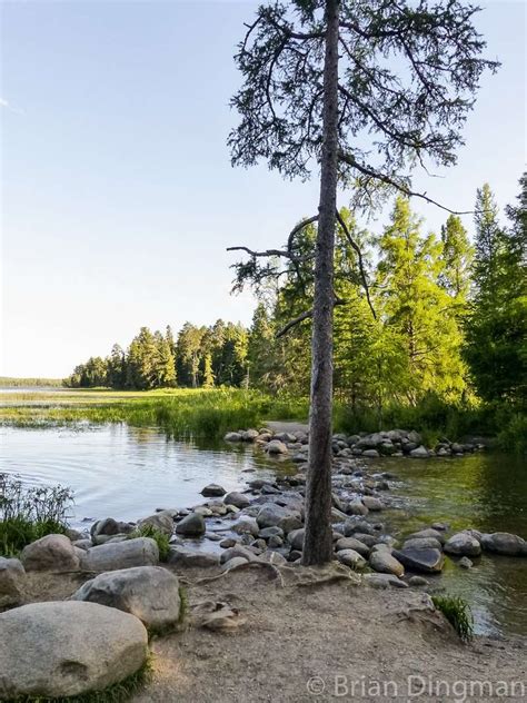 Minnesota’s Itasca State Park - Minnesota Trails