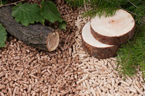 Is There a Difference Between Hardwood and Softwood Wood Pellets? - Wood Pellet Reviews