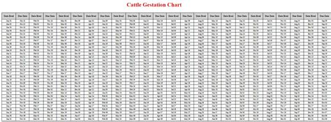 2025 Cow Gestation Calendar - Connie Augustine