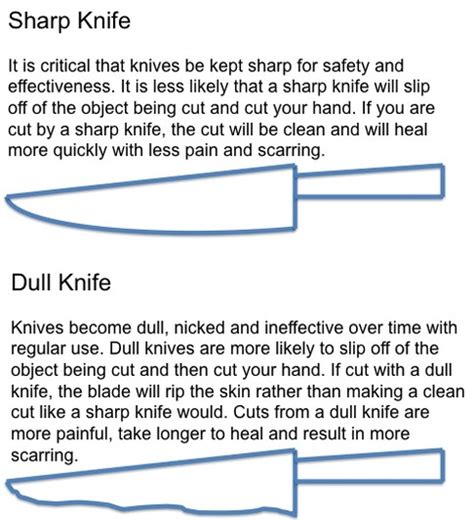 Module 3: Knife Safety - Kitchen Safety