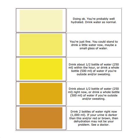 free 10 sample urine color chart templates in pdf ms word - 2022 urine ...