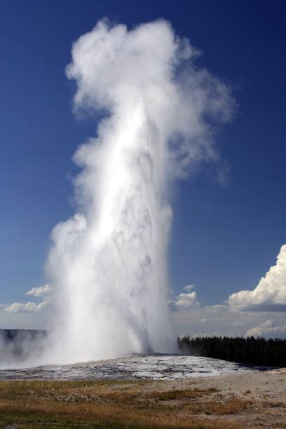 Royalty Free Old Faithful Geyser Pictures, Images and Stock Photos - iStock