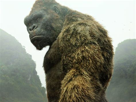 'Kong: Skull Island' Wins Where Almost Every Other Reboot Fails Miserably | WIRED