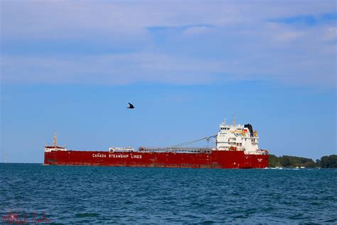 Canada Steamship Lines Photograph by Michael Rucker - Fine Art America