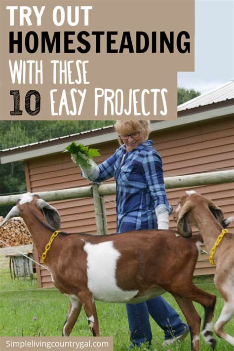 Get Started with 10 Beginner Homestead Projects | Simple Living Country Gal