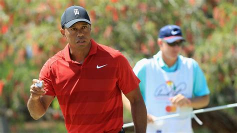 Tiger Woods Best Golf Shots 2018