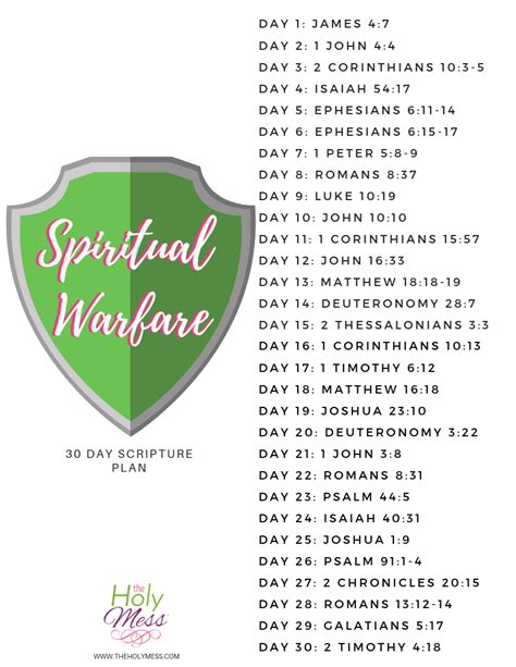 Spiritual War Bible