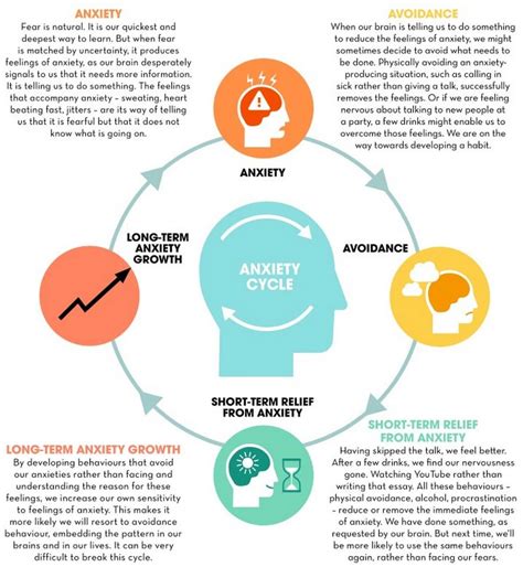 The Cycle of Anxiety : r/Infographics