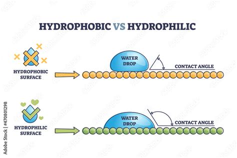 Obraz Hydrophobic vs hydrophilic surface drop effect outline diagram ...