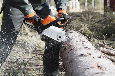 Top 5 Tree Trimming Tools for Landscaping