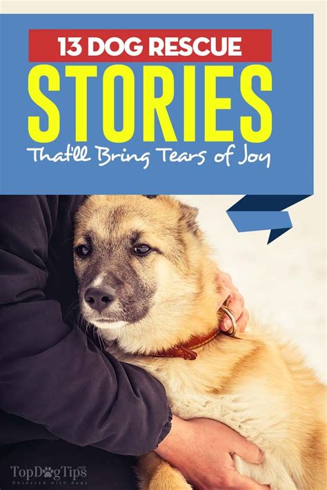 13 Dog Rescue Stories That'll Bring Tears of Joy | Dog rescue stories, Rescue stories, Dogs