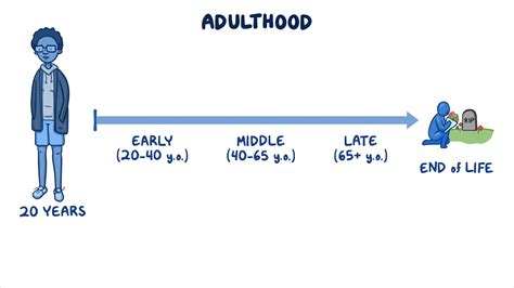 Growth and development - Early and middle adulthood: Nursing - Osmosis Video Library