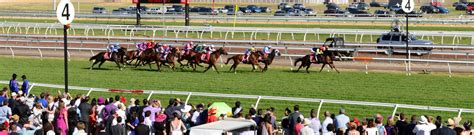 Flemington Racecourse, Spring Racing Carnival, Melbourne Cup, Stunning ...