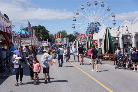 Dutchess County Fair opens with sheep, flowers and fun prizes – Daily Freeman