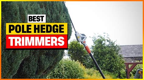 Best Pole Hedge Trimmers Reviews 2024 - Top 7 Picks - YouTube