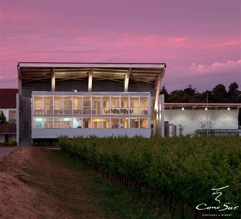 Cono Sur Vineyards & Winery | Chile