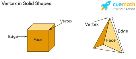 Vertex Angle - Definition, Solid Shapes, Parabola, Examples