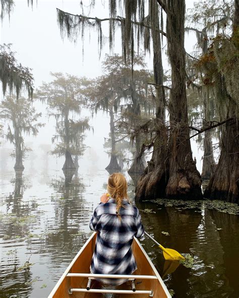 caddo lake state park boat tours - Google Search Canoe Trip, Canoe And Kayak, Camping & Hiking ...