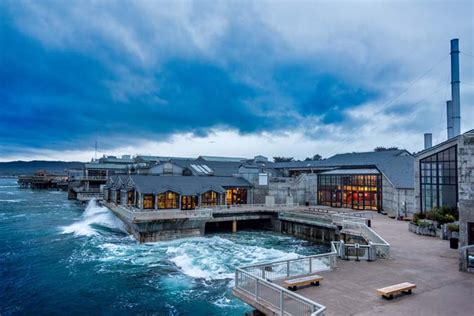 Monterey Bay Aquarium - Fresh Flower Delivery or a Day at the Aquarium