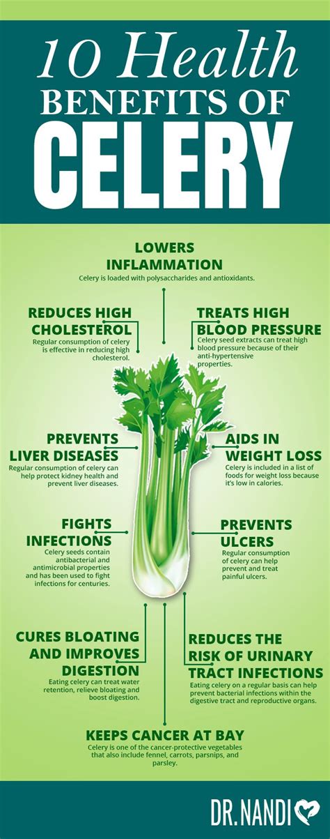 The nutritional and medicinal benefits of celery - Complete Gardering