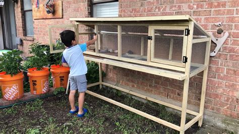 Quail Hutch- easy DIY project for your kids to begin keeping quail and ...