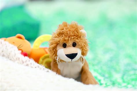 Free stock photo of artificial, baby toy, fluffy
