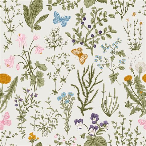 Herbs and Wild Flowers Wallpaper | Botanical illustration, Butterfly ...