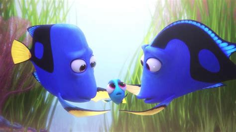 Finding Dory - Finding dory Photo (40989767) - Fanpop