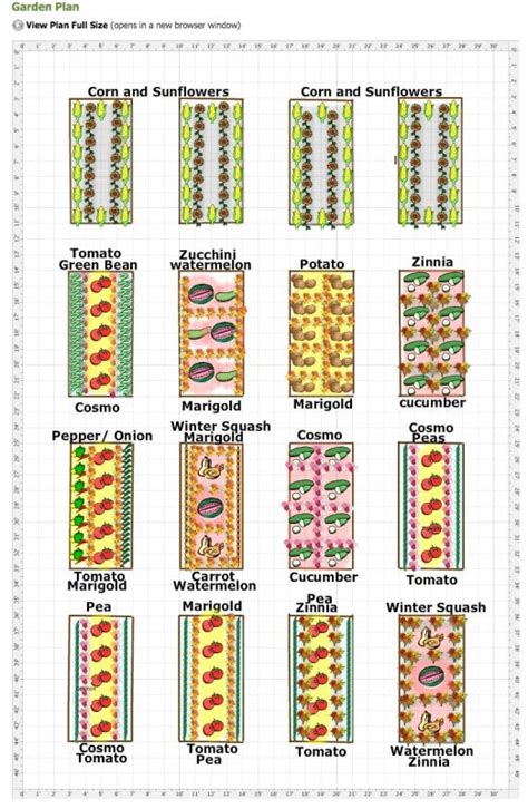 19 Vegetable Garden Plans & Layout Ideas That Will Inspire You