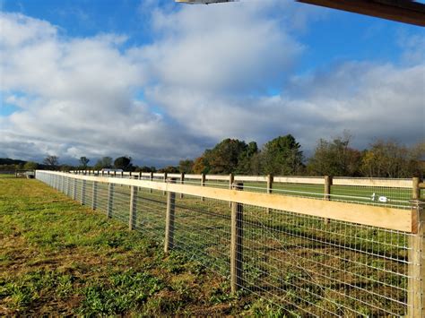 Horse Fence Perth | Electric & Mesh Fence Installation | Bears Fencing