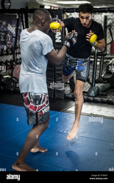 MMA fighter training Stock Photo - Alamy