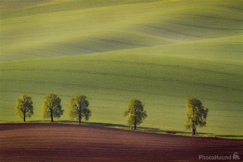 The 14 best photo spots in Southern Moravia in 2024