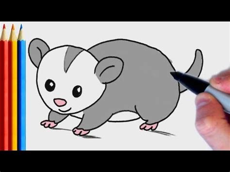 (fast-version) How to Draw Cute Possum | Step by Step Tutorial For Kids - YouTube