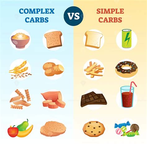 Complex carbs and simple carbohydrates comparison and explanation diagram – VectorMine