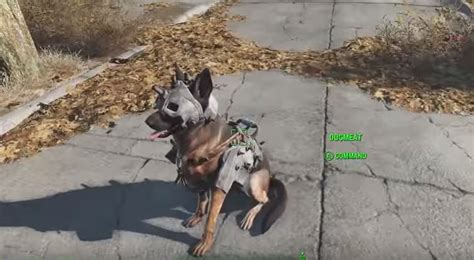 Where do I get armor for Dogmeat in Fallout 4? - Arqade