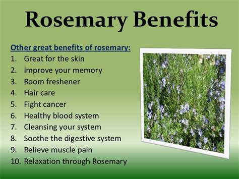 Rosemary benefits