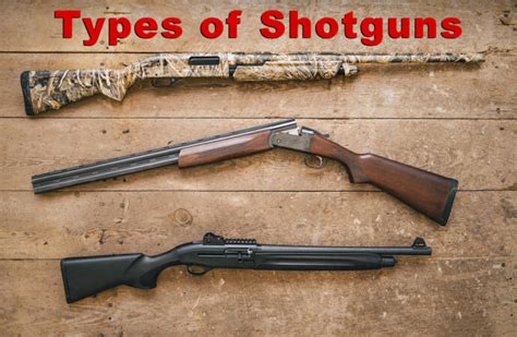 Types of Shotguns - An Easy to Follow Guide