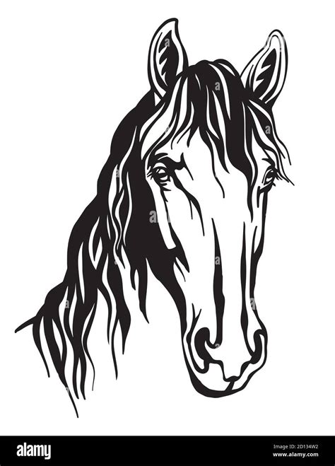 Abstract portrait of line monochrome contour horse Stock Vector Image & Art - Alamy