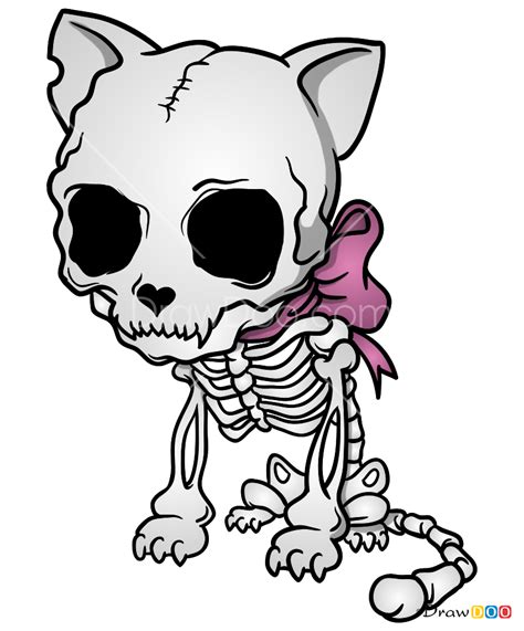 How to Draw Cat Skeleton, Skeletons