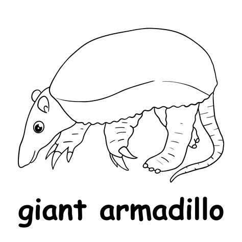 kids line illustration coloring giant armadillo. outline vector for ...